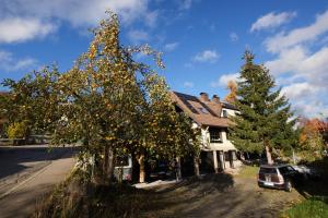 ein Orangenbaum vor einem Haus in der Unterkunft Biber Lodge in Feldberg
