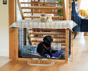 Un cane è seduto in una gabbia per cani di Knockderry Lodge -Private Luxury pet-friendly accommodation in Scotland with hot tub a Cove