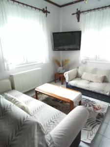 sala de estar con sofá y TV en EvropisHouse, en Kozani