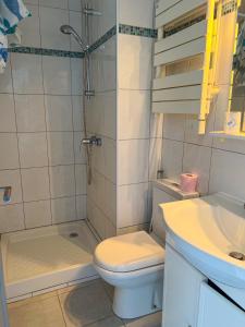 La salle de bains est pourvue de toilettes, d'une douche et d'un lavabo. dans l'établissement La Studette Marina 06, à Villeneuve-Loubet