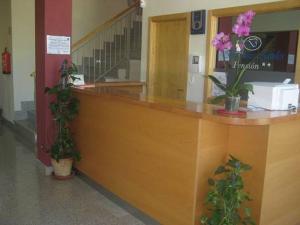 eine Lobby mit einer Theke mit Topfpflanzen in der Unterkunft Pensión Balcones Azules in Cartagena