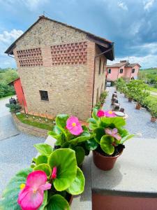 een groep planten op een balkon met een gebouw bij Comfortable apartment in tuscan wine farm in Montecarlo