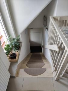 um corredor com escadas com um tapete e uma escada em Apartmán Donská em Liberec