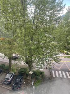 deux voitures garées dans un parking sous un arbre dans l'établissement Hotel Mercure Grenoble Centre Président, à Grenoble