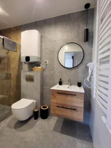 W łazience znajduje się toaleta, umywalka i lustro. w obiekcie ApartHouse Piwna 14 w mieście Racibórz