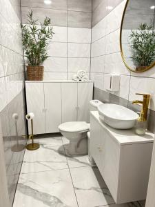 W łazience znajduje się umywalka, toaleta i lustro. w obiekcie Rezydencja Leśniów w mieście Żarki