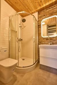 a bathroom with a shower and a toilet and a sink at Rote Wohnung - Ferienwohnung (Goldenes-Häusle) in Sulzbach an der Murr