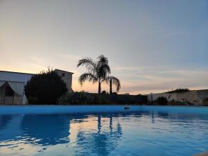 una piscina con una palmera en el fondo en Villa Marinezzi, en Mesagne