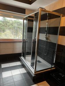 a shower stall in a bathroom with a window at Studio na MIARĘ in Jarocin