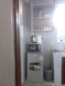 einen kleinen Kühlschrank in einer Küche mit Mikrowelle in der Unterkunft Emerald Gardens Airbnb in Kitale