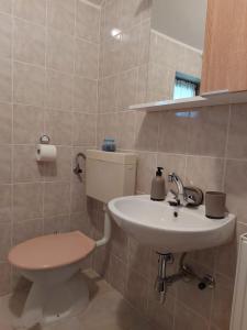a bathroom with a toilet and a sink at Apartman Jana in Ozalj