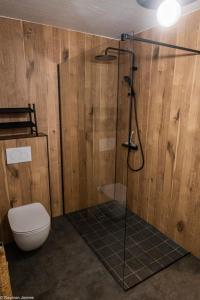 La salle de bains est pourvue d'une douche et de toilettes. dans l'établissement Résidence Cami Réal ****, à Saint-Lary-Soulan