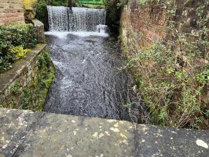 un petit ruisseau d'eau dans une cour avec cascade dans l'établissement Olive Holiday Cottage Matlock, à Matlock Bank