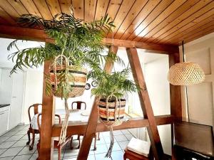 Ennenda的住宿－Apartment Glärnisch，一间用餐室,配有一张桌子和两盆植物