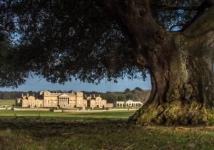 a large tree in front of a large house at The Triumphal Arch West in Holkham