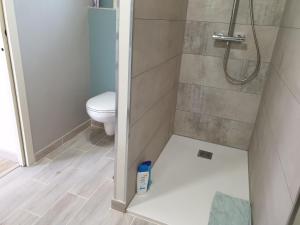 a bathroom with a shower and a toilet at Chambre entre mer et campagne in Gréville-Hague
