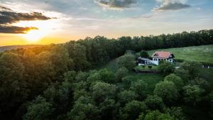 an aerial view of a house on a hill at Kuća za odmor Pristaš in Nova Gradiška