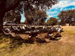 un grupo de sillas y una mesa en un campo en Hotel Valdepalacios Gourmand 5* GL en Torrico