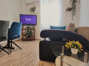 TV a/nebo společenská místnost v ubytování Apartment Taja