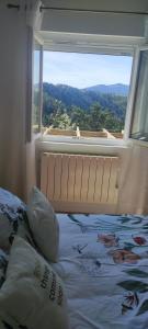 Ce lit se trouve dans un dortoir doté d'une grande fenêtre. dans l'établissement La petite maison d'Hose, à Monistrol-sur-Loire
