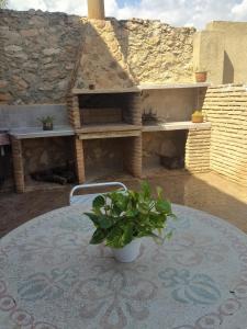 uma planta em vasos sentada em cima de uma mesa em Casa Rural María Y Cristina em Alhama de Múrcia