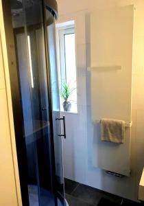 a bathroom with a glass shower with a plant on the window at Bosvilla Lochem in Lochem