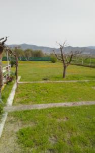 un campo con árboles y una valla blanca en EvropisHouse, en Kozani