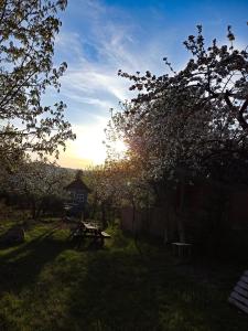 a sunset in a yard with a picnic table and trees at Górski Wypoczynek in Stryszawa