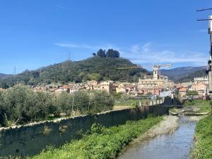 uma cidade numa colina junto a um rio em Riobasco em Albisola Superiore