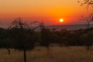 een zonsondergang in de savanne met een veld en bomen bij Casa de la Presa 2 in Polokwane