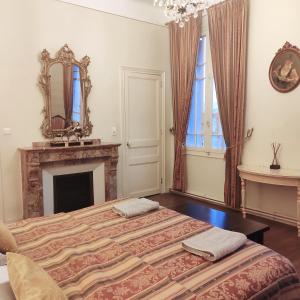 a bedroom with a bed with a fireplace and a mirror at Villa Angel - SPA in Caunes-Minervois