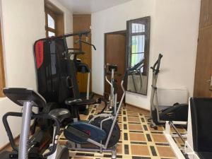 Fitness centrum a/nebo fitness zařízení v ubytování Domaine Les Tourelles 3