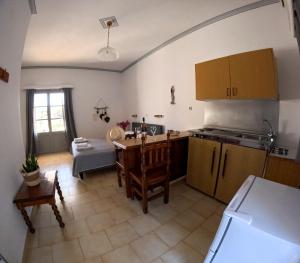 A kitchen or kitchenette at Irene Hotel Leros