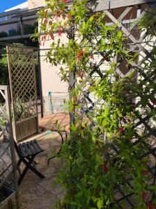 un cespuglio con fiori rossi e una panchina in un cortile di Villa il Boschetto a San Vincenzo