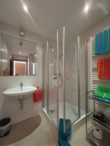La salle de bains est pourvue d'une douche et d'un lavabo. dans l'établissement Wallner am See, à Sankt Wolfgang im Salzkammergut