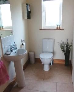 a bathroom with a toilet and a sink at Stunning Detached 3 Bedroom House Islandandmagee in Larne