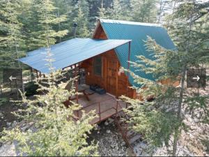 a cabin in the woods with a blue roof at Cedrus life bungalov tesisi in Erdemli
