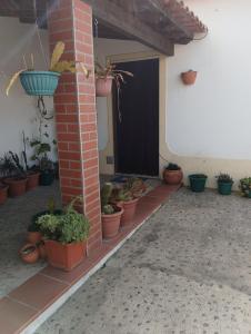 Gallery image of Cantinho da Susy in Golegã