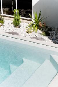 a close up of a swimming pool with plants at Amiri on Holbrook - Pet Friendly in Yaroomba