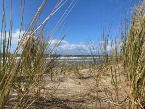 a view of the beach through some tall grass at Studio Eb in Egmond aan Zee