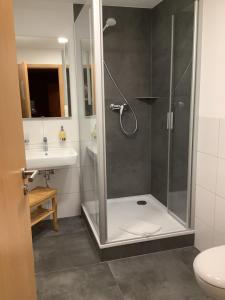 a bathroom with a shower and a sink at Pension Scherzer in Ohorn