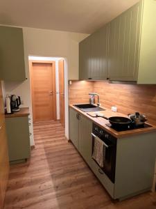 a kitchen with green cabinets and a sink and a stove at Charmantes Studio am Wörthersee in Reifnitz