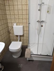 a bathroom with a toilet and a shower at Hotel-Restaurant Hubertus in Brome