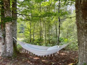 a hammock in the woods between two trees at 'Hotel One Suite' Suite with Private Beach, Natural Swimming Pool & Reserve in Neung-sur-Beuvron