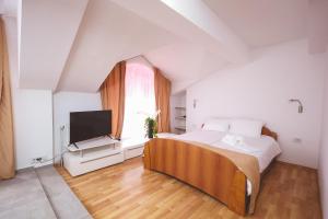um quarto com uma cama e uma televisão de ecrã plano em AMMOTTI Hotel and Apartments em Ohrid