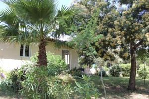 卡爾熱斯的住宿－MARCHESE，两棵棕榈树在房子前面