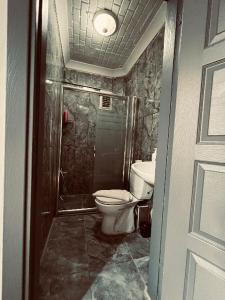 a bathroom with a toilet and a shower at KANARYA SUİT OTELL in Istanbul