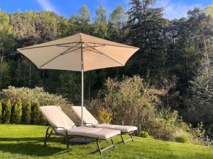 two chairs and an umbrella in the grass at Garden Apartment Untermühle in Bressanone