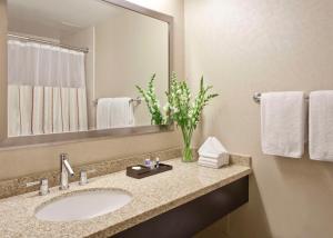 a bathroom with a sink and a mirror and towels at Hyatt Regency O'Hare Chicago in Rosemont