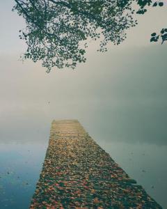 a pier in the water on a foggy day at Półwysep Lipa in Wdzydze Tucholskie